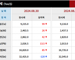2024년 8월 30일 字 가격동향