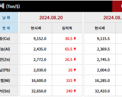2024년 8월 20일 字 가격동향