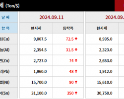 2024년 9월 11일 字 가격동향