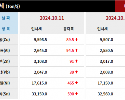 2024년 10월 11일 字 가격동향