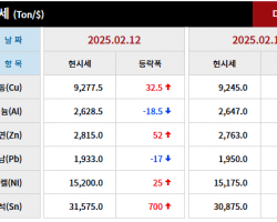 2025년 02월 11일 字 가격동향