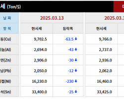 2025년 03월 13일 字 가격동향