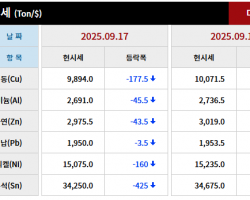 2025년 09월 17일 字 가격동향