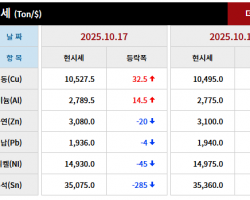 2025년 10월 17일 字 가격동향