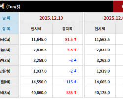 2025년 12월 10일 字 가격동향