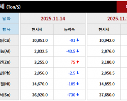 2025년 11월 14일 字 가격동향