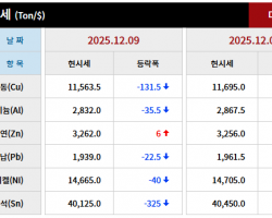 2025년 12월 09일 字 가격동향