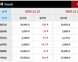 2025년 11월 13일 字 가격동향