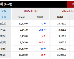 2025년 11월 07일 字 가격동향