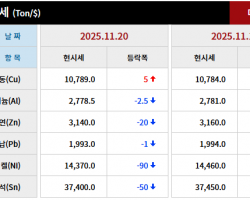 2025년 11월 20일 字 가격동향