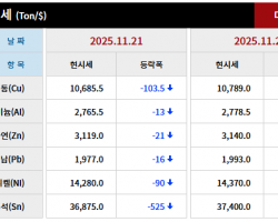 2025년 11월 21일 字 가격동향