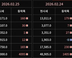 2026년 02월 25일 가격동향