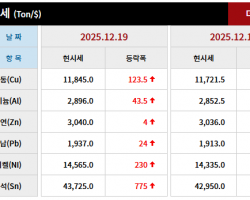 2025년 12월 19일 字 가격동향